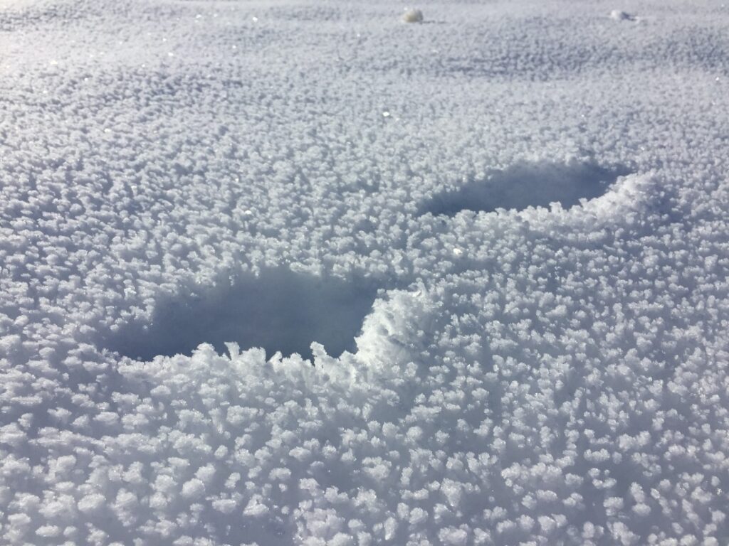 Tierspuren im frischen Schnee. 