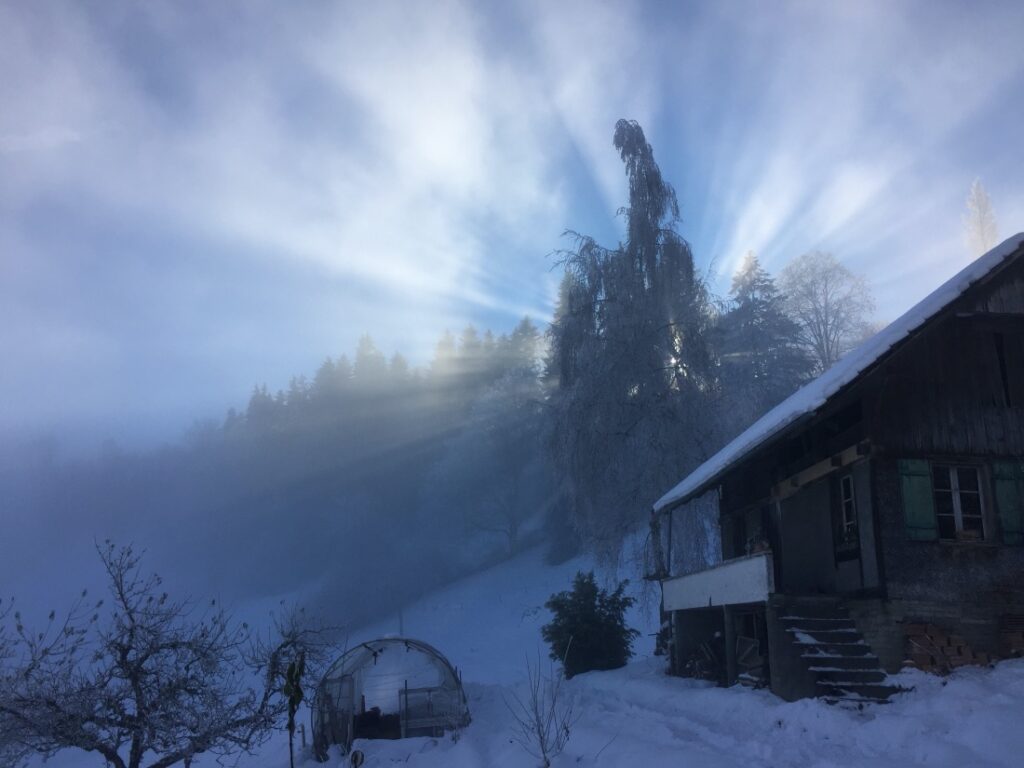 Wunderbares Winterlicht über dem Stöckli. 