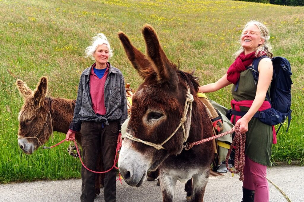 Esel-Trekkings im Naturpark Gantrisch