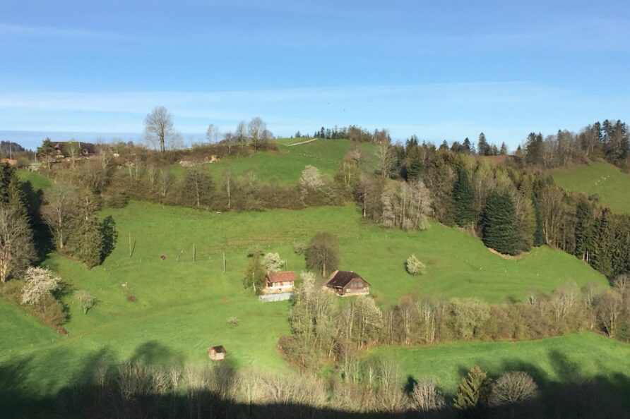 Erste News vom Bärebach