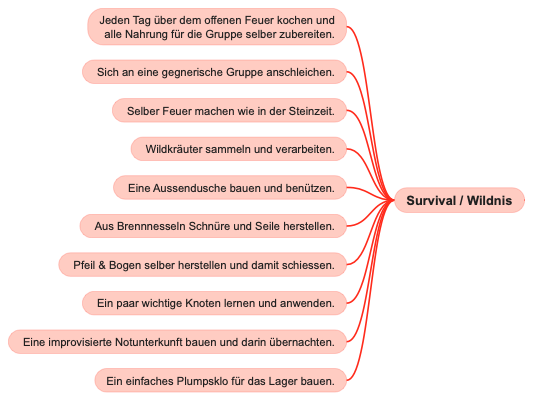 Lageraktivitäten: Survival / Wildnis. 