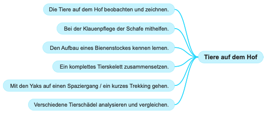 Lageraktivitäten: Tiere auf dem Hof.