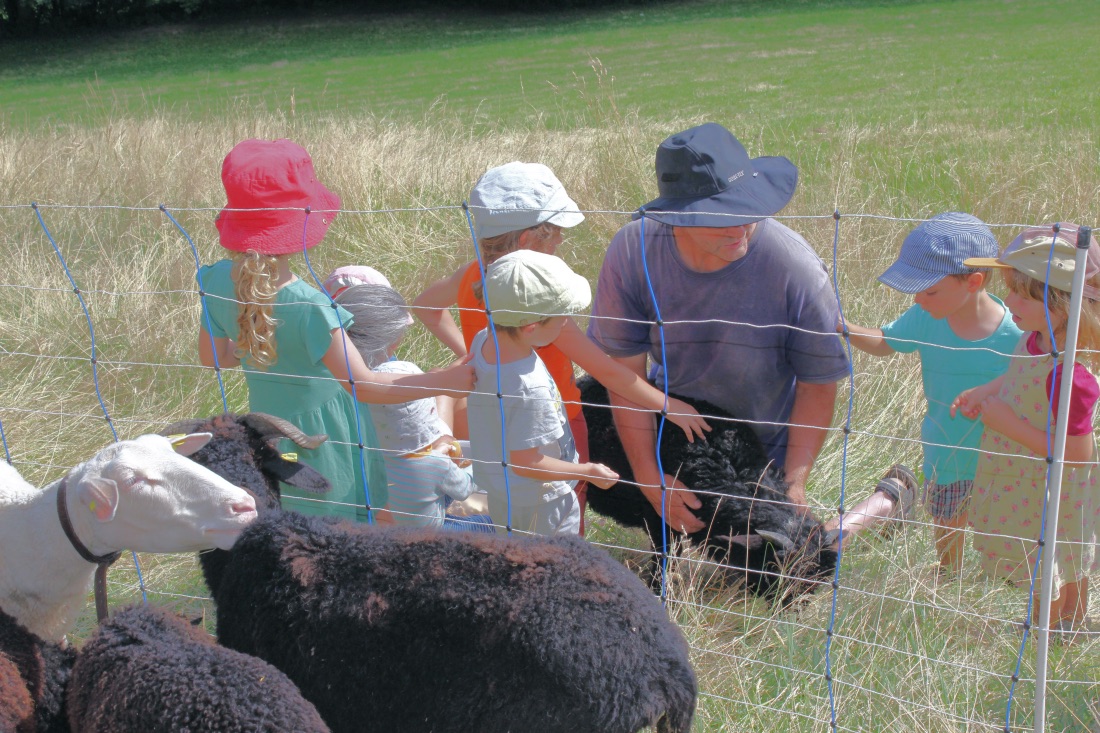 Kinder beim streicheln der Schafe