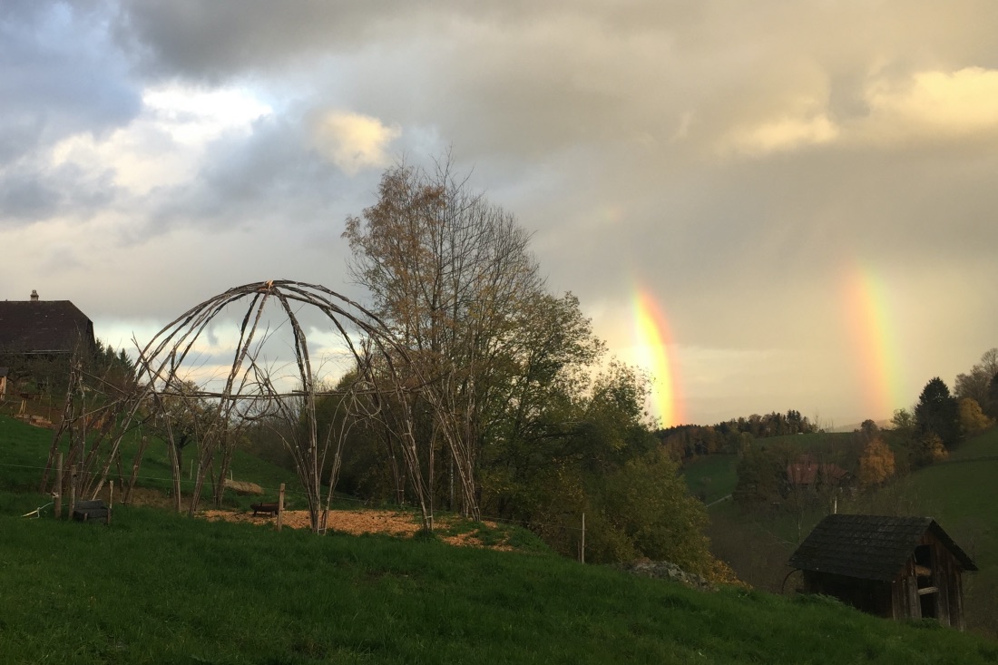 Zwei Regenbögen über unserer Weiden-Kathedrale.