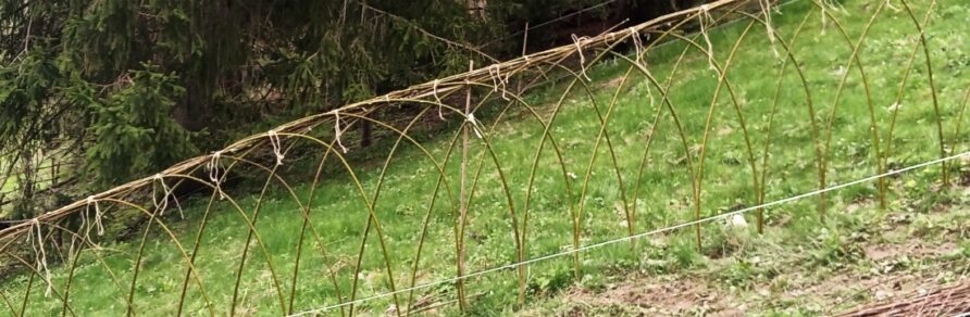 Geschafft: Betriebsanerkennung für unseren Hof! 
