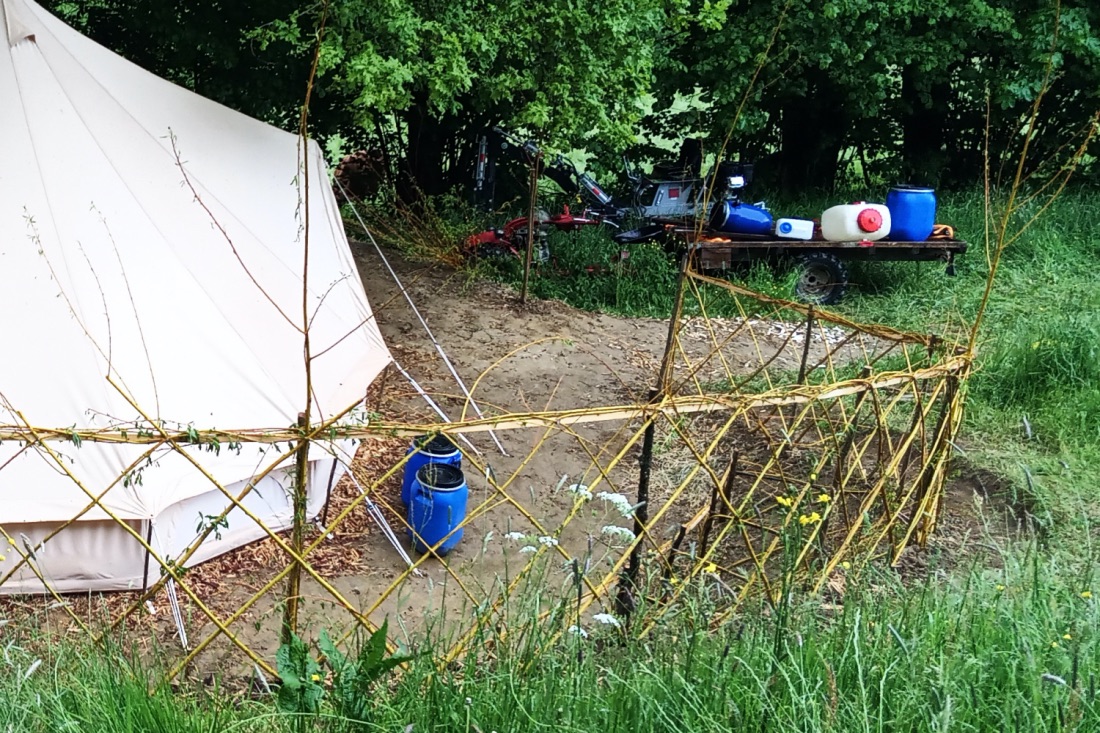 Lebender Weiden-Zaun bei unserem Jurtenplatz. 